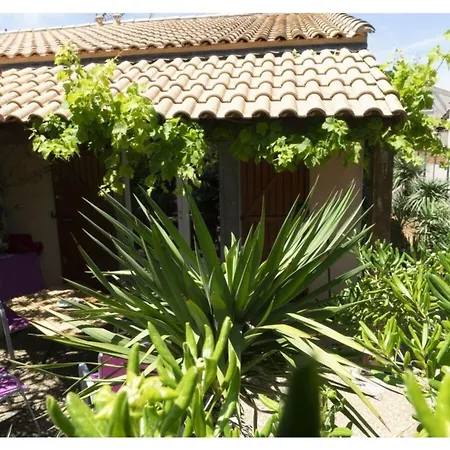 Maison De Kurt Dans Le Sud De La France