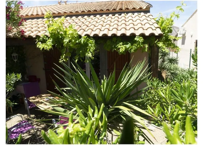 Maison De Kurt Dans Le Sud De La France