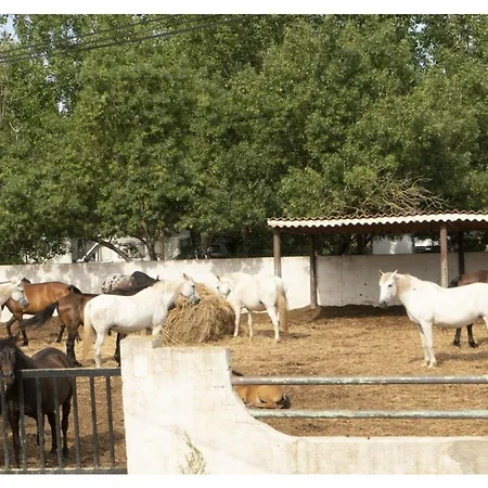 Maison De Kurt Dans Le Sud De La France